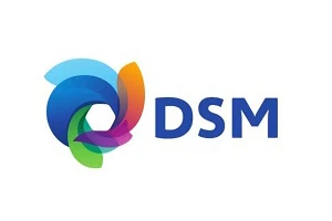 DSM DSM